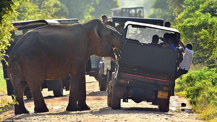 Wilpattu National Park